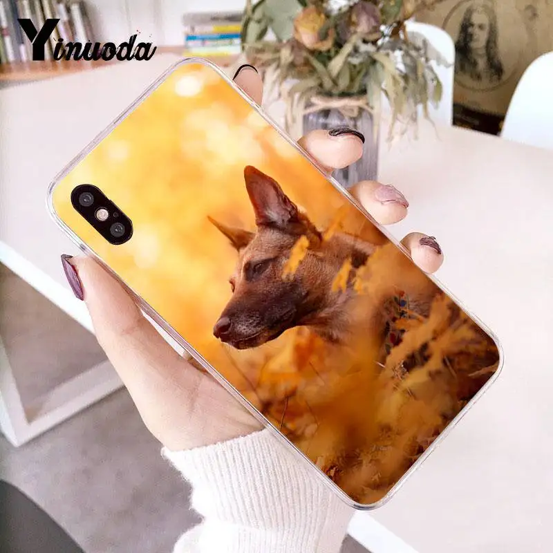 Yinuoda для iPhone 7 6 X Чехол, Бельгийская футболка с милой собакой, Прозрачный чехол для телефона iPhone 8 7 6 6S Plus X 10 5 5S SE XR XS XSMAX