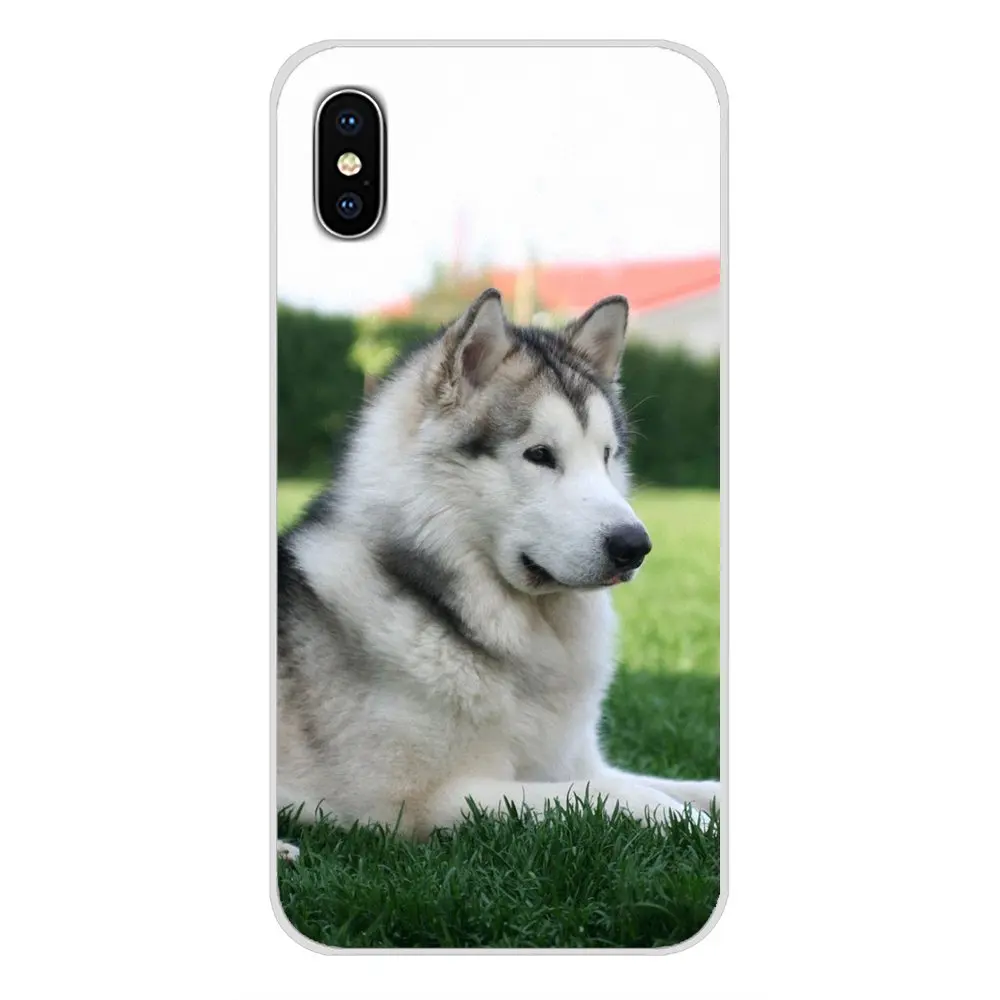 Щенки сибирской хаски для Huawei Mate Honor 4C 5C 5X 6X 7 7A 7C 8 9 10 8C 8X 20 Lite Pro Аксессуары чехлы
