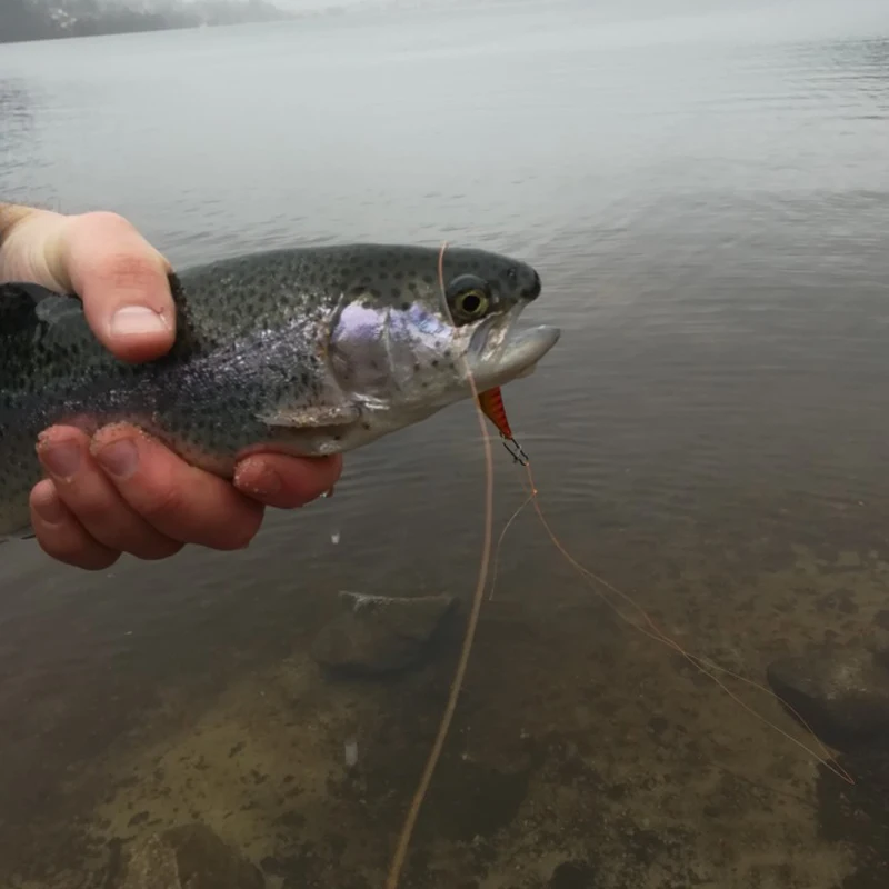 1 шт. рыболовные приманки 2 5 г 23 мм 4 цвета на выбор|hooks bait|fishing lurehorse mouth |