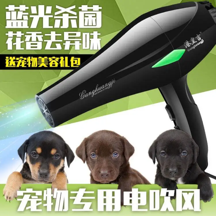 Высокая мощность pet фен для волос немой Собака Профессиональный 3200 Вт Золотой