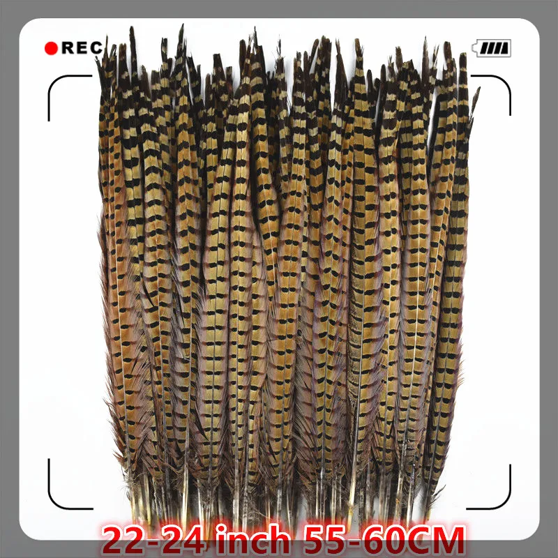 50 шт./лот натуральные Ringneck Перья из хвоста фазана для рукоделия 25-75cm10-3" Свадебные украшения фазан перо Плюмы - Цвет: 55-60CM 22-24Inch