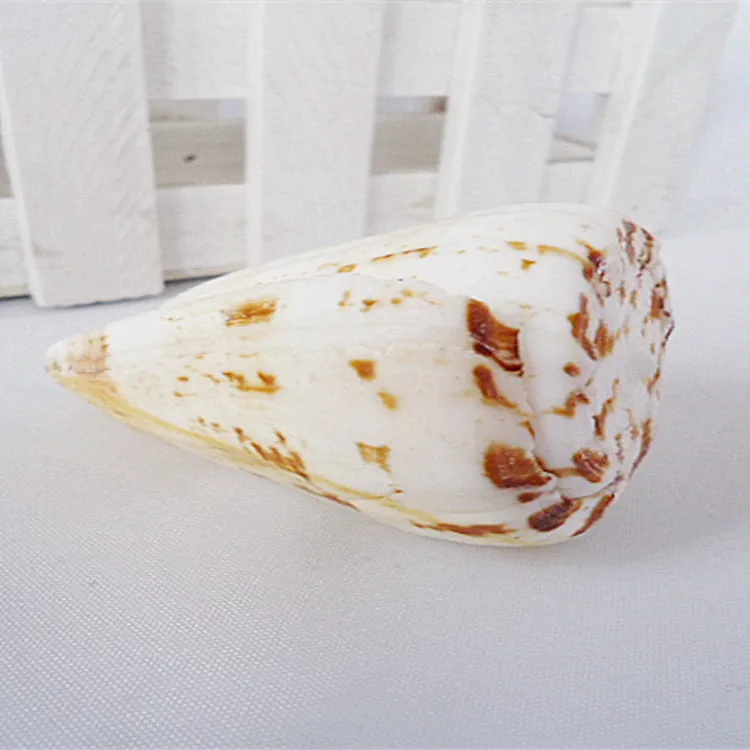 Горячая Распродажа кукурузы улитки природный раковины слушает звук Sea Shell Seashell 300