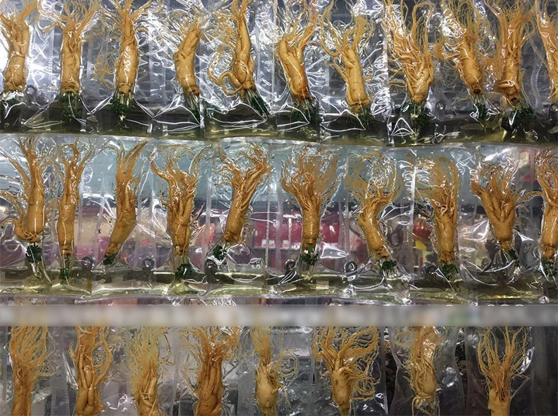 Топ Класс свежий корня женьшенья в вакуумной упаковке и листев свежий корень женьшеня