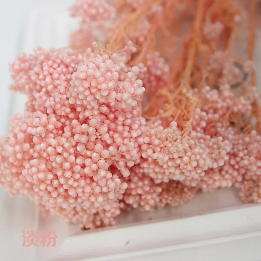 10 пряди Ozothamnus Diosmifolius консервированный цветок для свадьбы вечеринки домашнего