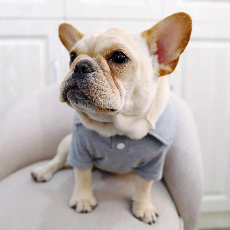 Petcircle новая стильная весенняя одежда для собак Милая мультяшная хлопковая куртка для собак серый цвет S-XXL Размер Французский бульдог одежда для домашних животных