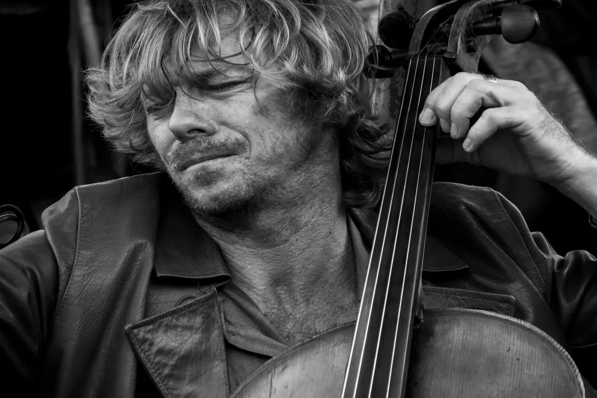 

custom print fabric poster (frame available) cello player musician PDY106 for wall decor room decor home decoration