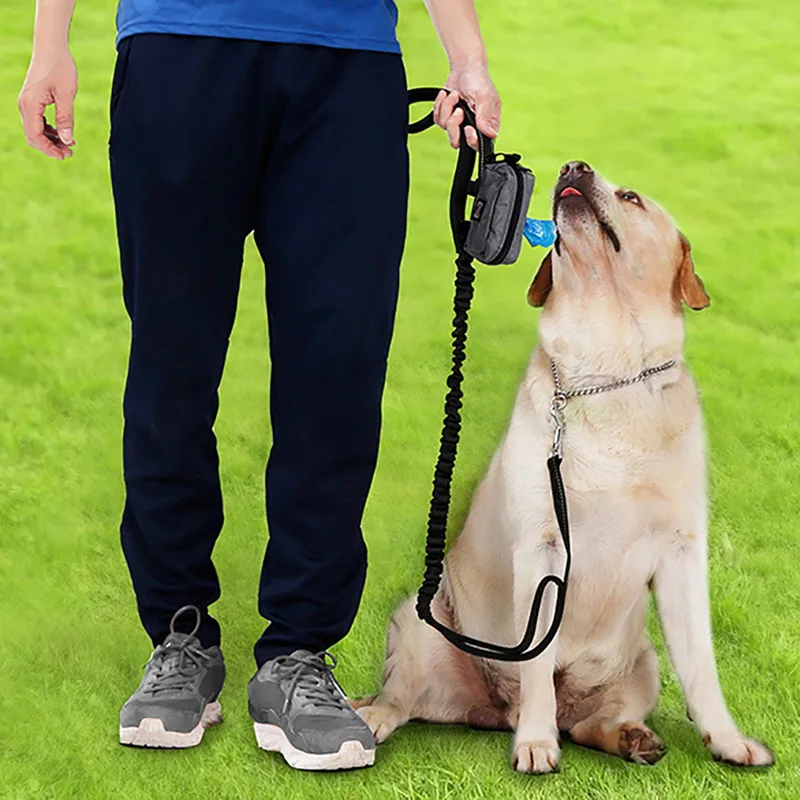 Hoomall 1 шт. Сумка-держатель с 15 шт. мешками для мусора поводки для собак Сумка для мусора распределитель для уличных домашних кошек аксессуары для собак