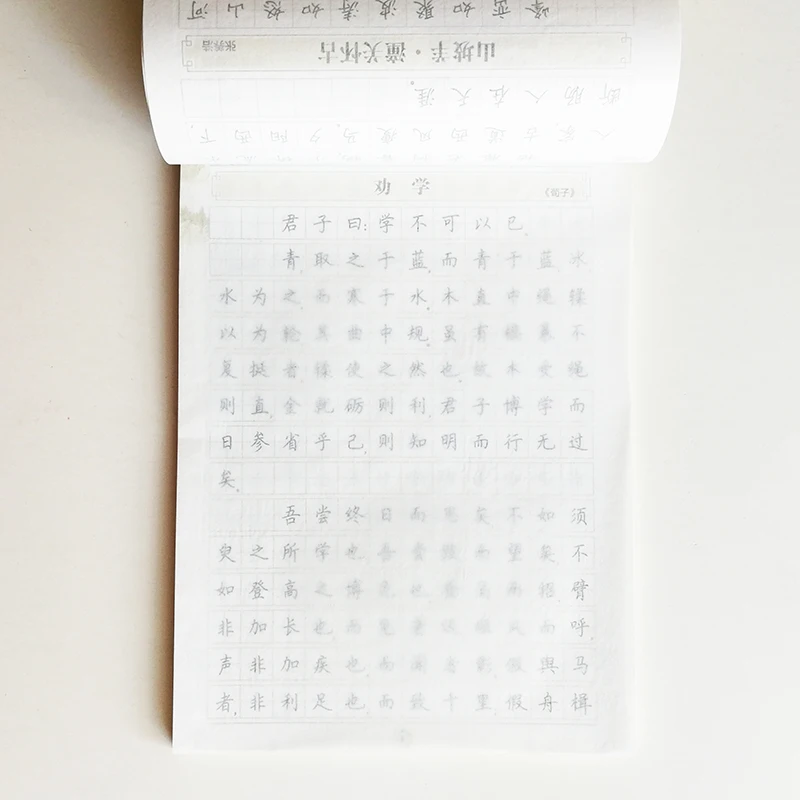 Китайская старшеклассница древняя поэтическая каллиграфия авто сухая