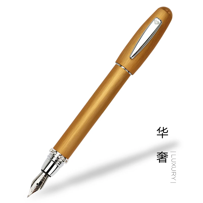 

Lady pen fountain pen 0.5 mm Iraurita nib office gift business fountain pen set