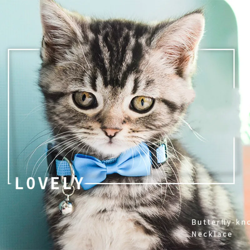 Легкая Одежда поводок для кошек собачий бант ошейник котенка с колокольчиком