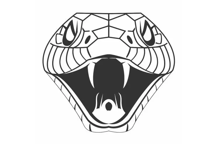 Злой змея открывает рот чтобы показать острые зубы Автомобильная наклейка на