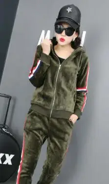 not with velvet Качественный Европейский женский кашемировый костюм jinsirong, модная повседневная спортивная одежда с капюшоном+ штаны с эластичной резинкой на талии - Цвет: not with velvet
