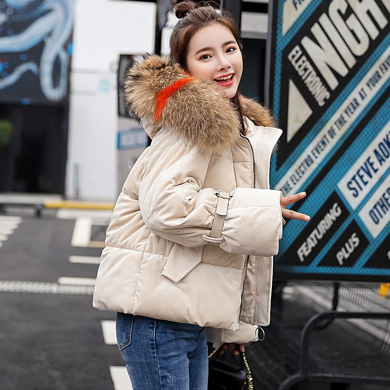 Большой натуральный мех енота 2018 зимняя куртка пальто Женская парка с капюшоном