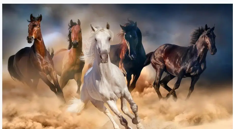 На заказ любой размер фото лошадь HD настенная Современная декоративная картина