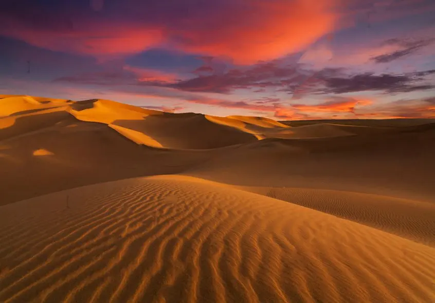 sahara sand dunes sunset desert background High quality Computer print wall photo backdrop | Электроника