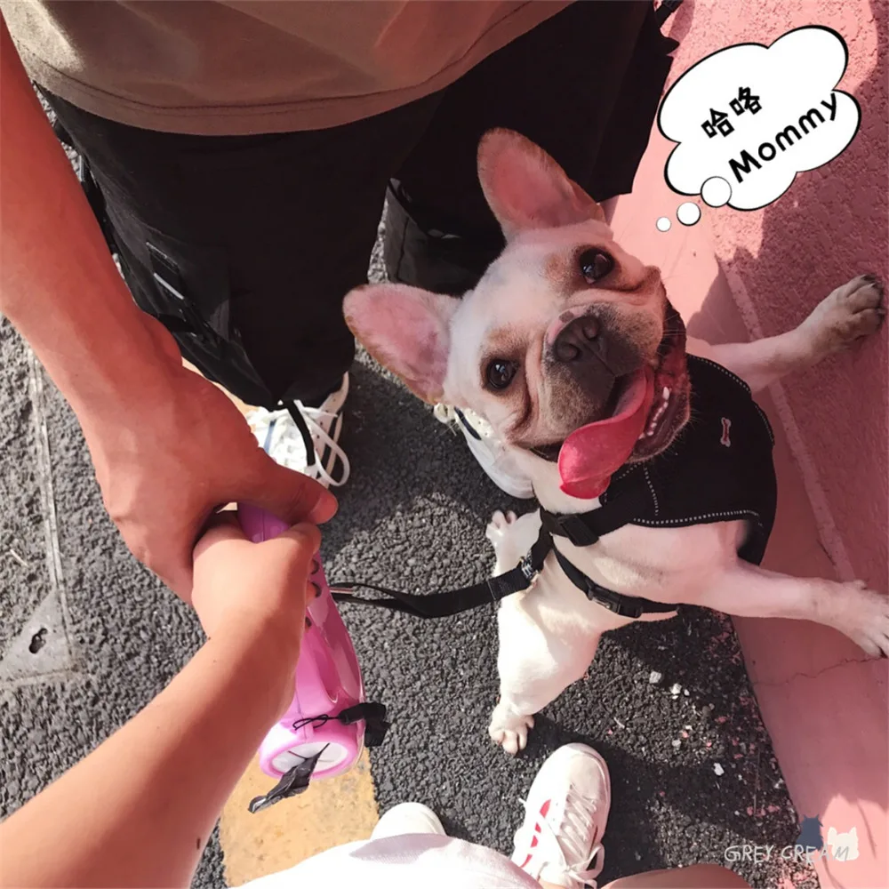 Прочный поводок для собак с сумкой-повязкой и чашей кормушка воды корма