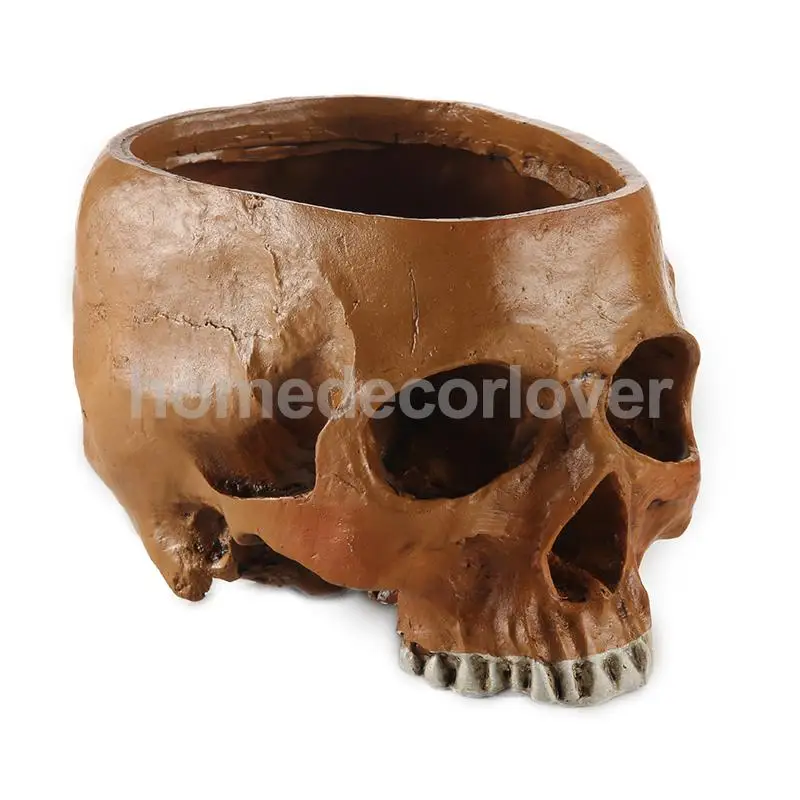 Яркие резиновые реплики модель черепа медицинская вечерние опора цветочные