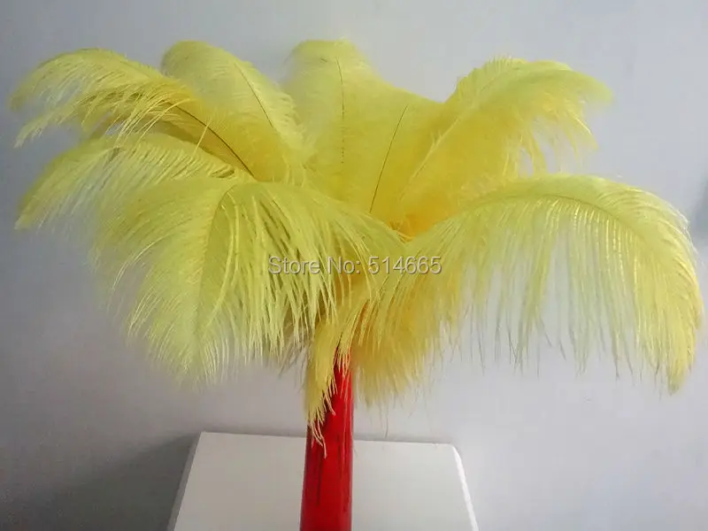 Страусиное перо 20 шт./лот 10 цветов 18 дюймов 45 50 см|ostrich feather|ostrich plumesfeather assortment |