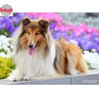 Алмазная мозаика Collie dog, картина 5D DIY, алмазная картина, вышивка крестиком, милый питомец, полная дрель, картина для выкладывания квадратными стразами, домашний deocr