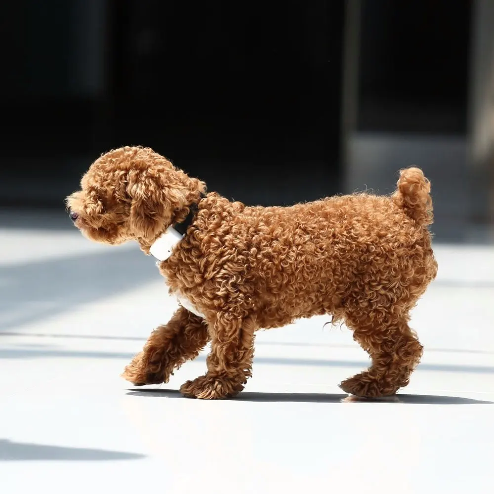 Pet Средства ухода за мотоциклом материалы ультразвуковой в отпугиватель для