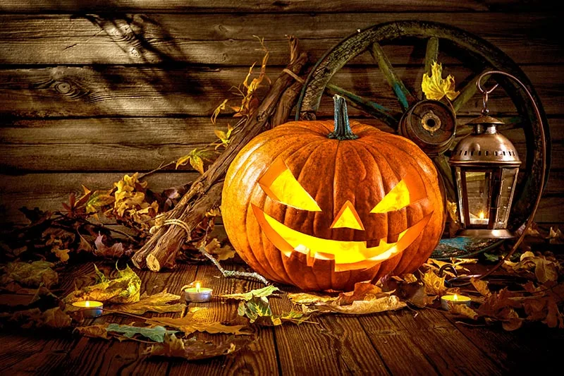 

Photography backdrops Halloween 2018 Background Pumpkin Evils Night Background Photography studio background