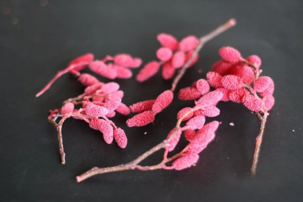50g Preserved Mulberry Fruit For Wedding Party Home Decoration DIY Bouquet Project Accessory | Дом и сад