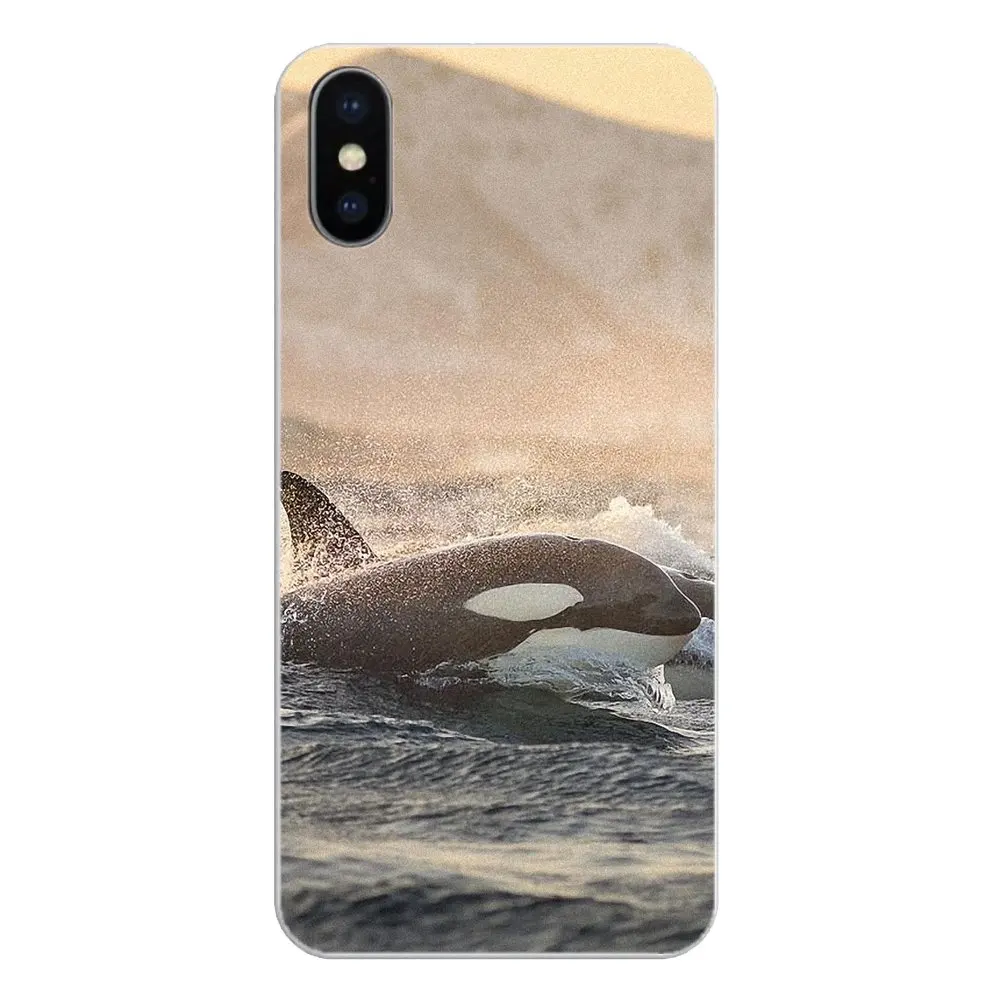 Силиконовый чехол для телефона Killer Whale Orca случайное вдохновение Apple iPhone 4 4S 5 5S 5C SE 6