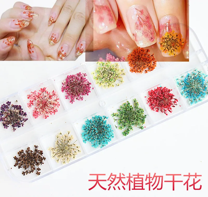 Сушеные Цветочные украшения изделия инструменты фототерапия акриловое стерео