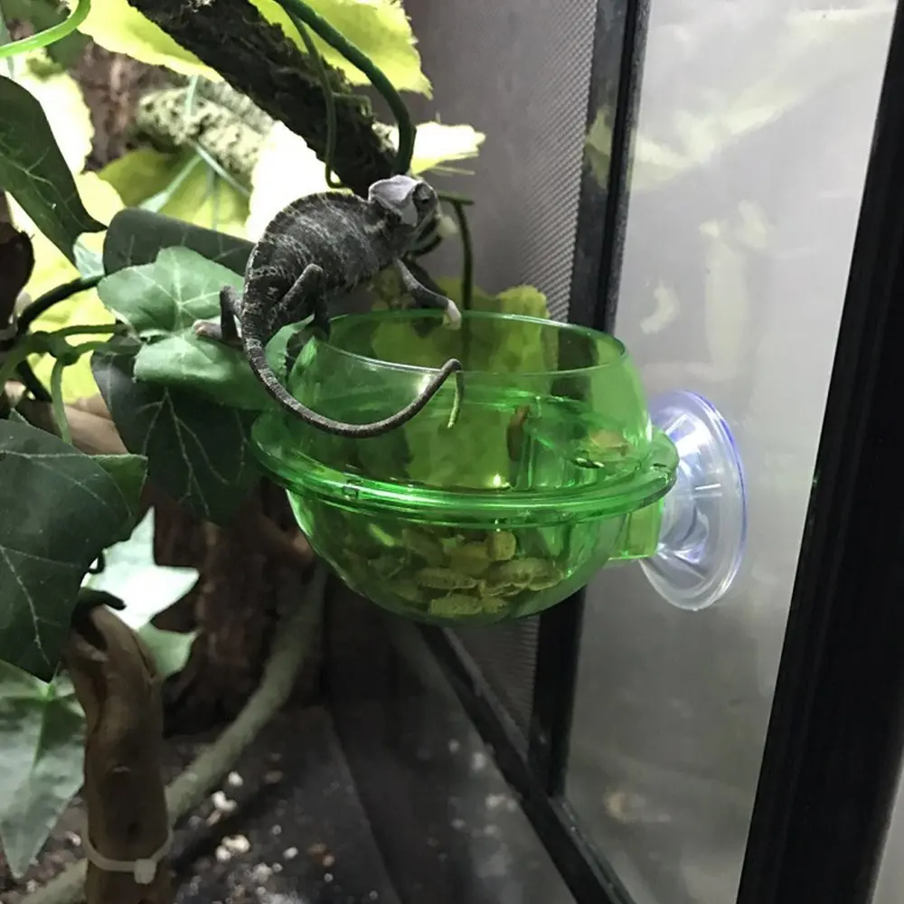 Всасывающая кормушка чашка EONMIR аксессуары для рептилий Gecko хамелеон|Корма питьё