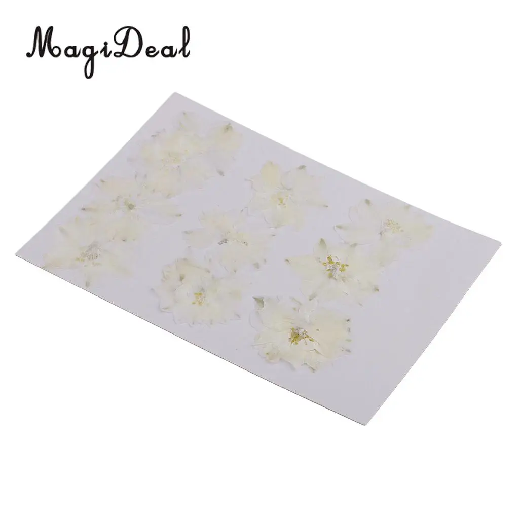 10 / 20 шт. красивые реальные прессованные из розовых лепестков для звездное небо