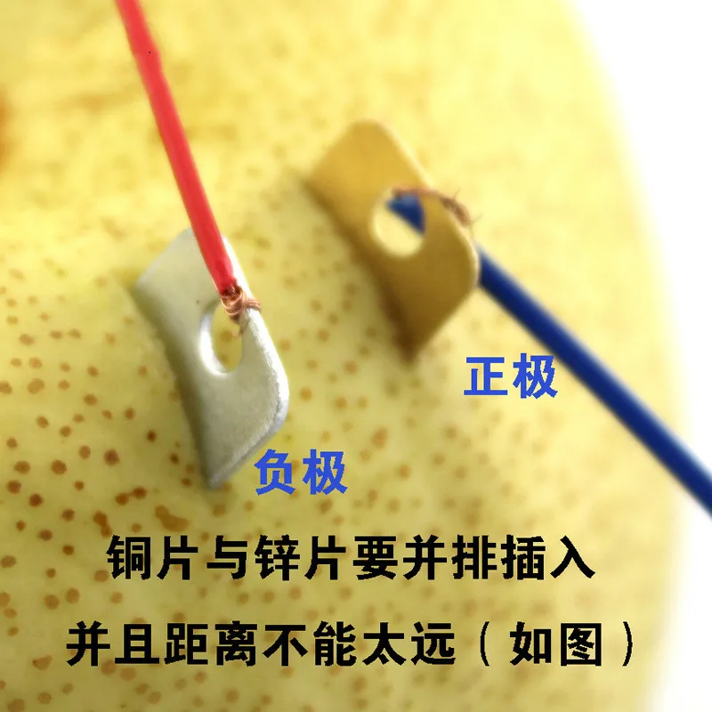 Новая популярная научная игрушка фрукты поколение энергии эксперимент