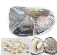 2018 best christmas gifts big monster freshwater oyster 20 30 natural pearls inside oyster vacuum packed 6 10 years abh756