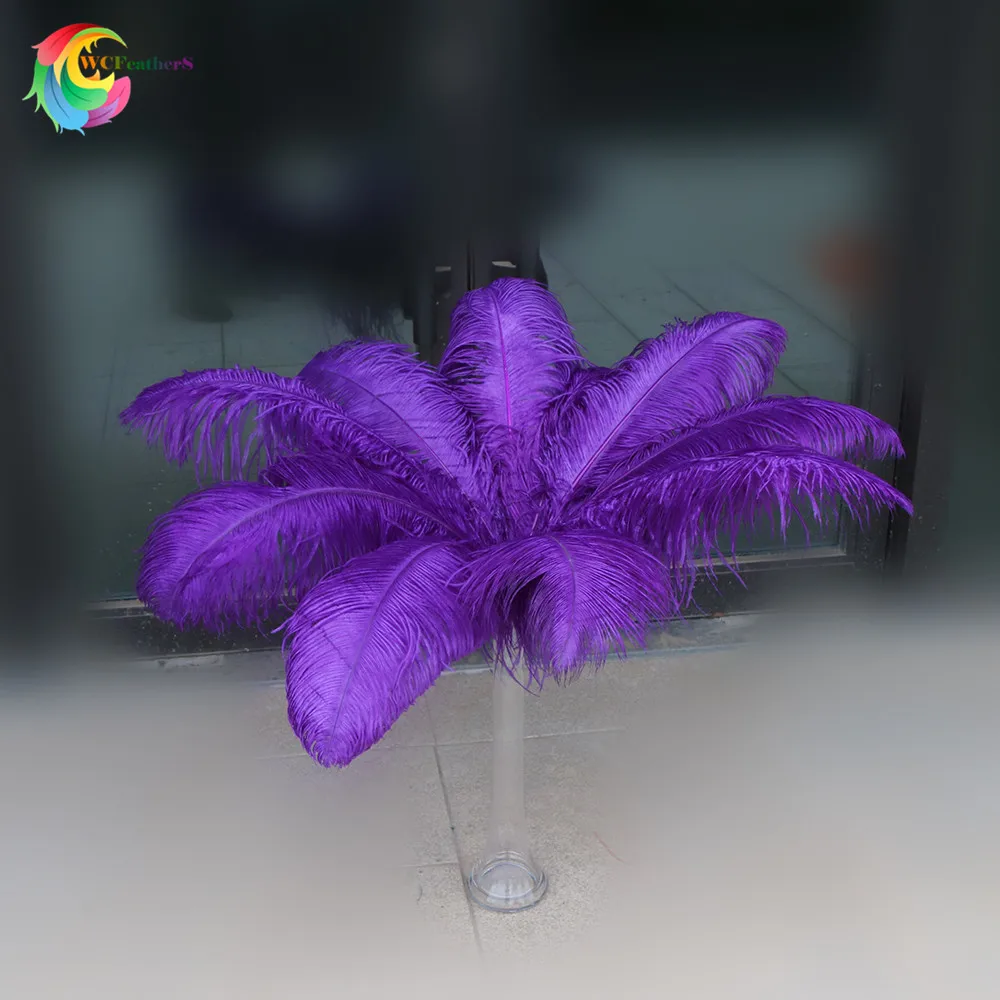 

Wholasale 10pcs/lot high quality colorful ostrich feathers 60-65cm/24-26inch Wedding party Carnival decoration plumages