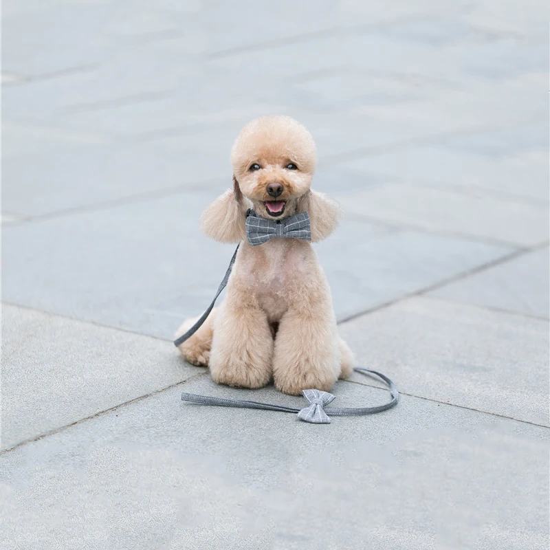 Зоотоваров ошейник поводок торакодорсального аксессуары жгут кошка