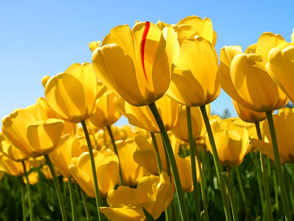 

test onlyOilPrice20