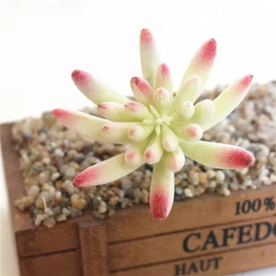 

Flocking Artificial Succulents Plants Bonsai Desktop Vivid Plants Wedding Decoration Plant Plante Artificielle 1pc
