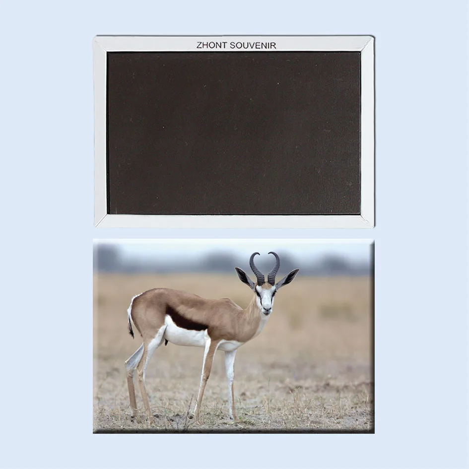 Springbok Южная Африка 22308 отличные подарки для друзей сувениры туристов по всему