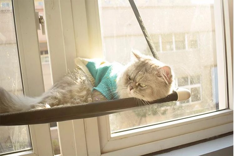 Кошек шезлонг кошка гамак кровать крепление окно, кошка, лежак присоски теплая кровать для домашних животных кошка дом отдыха мягкие удобные кровати