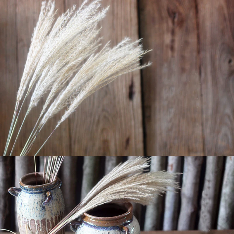 15 штук в наборе дикие сушеные пампасы тростниковые цветы натуральные