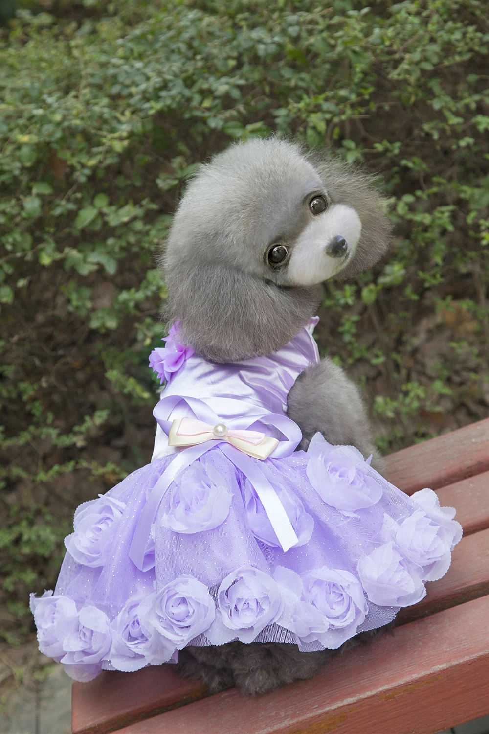 Новое поступление праздвечерние чный дизайн розы платье принцессы для домашних