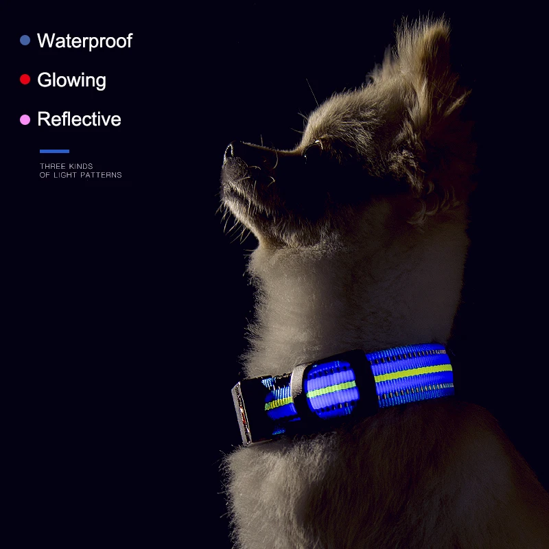 Waterproof LED Dog Collar Original Magnetic Charging Glowing Anti-Lost For Dogs Puppies Collars Leads Pet Product | Дом и сад