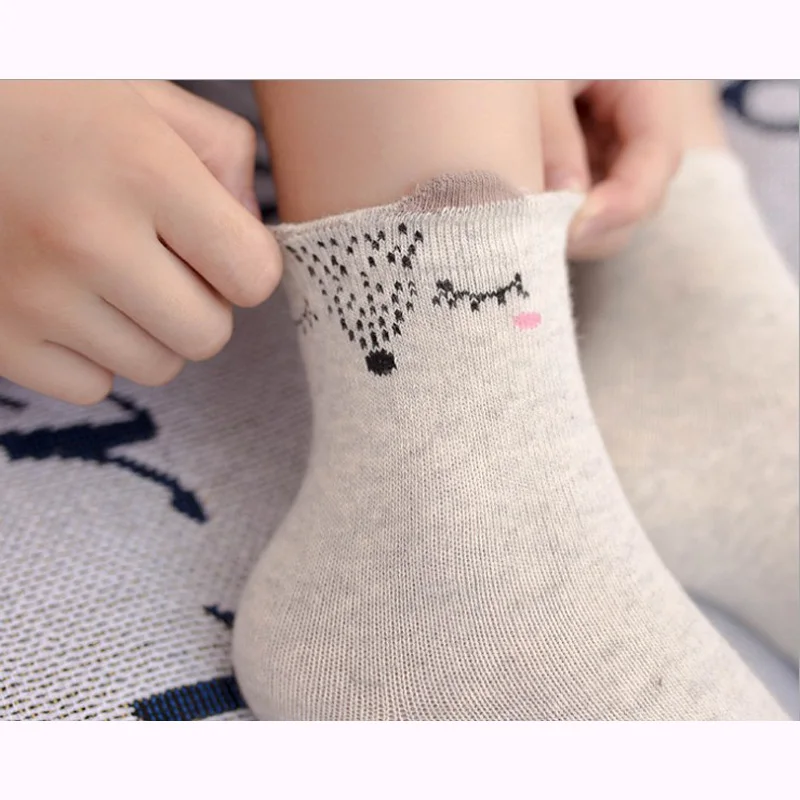 Детские носки бесплатная доставка хлопковые для маленьких девочек 1-12 лет 10