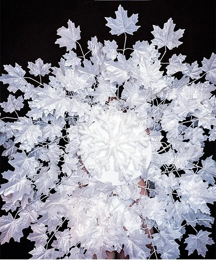 Белое крыло сексуальная фотосессия сценический наряд одежда для ночного клуба