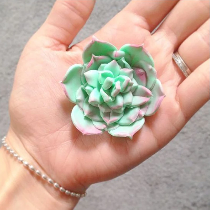 Yueyue Sugarcraft 3 шт. нержавеющая сталь суккуленты помадка режущий торт форма