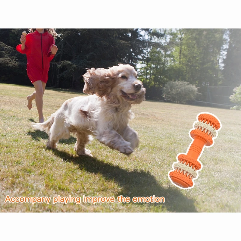 Аксессуары для домашних животных Эффективная очистка зубов гантели молярная