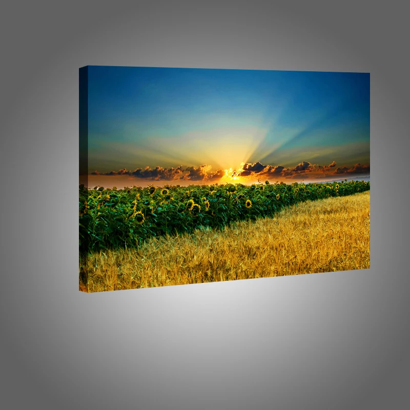 Большие плакаты и принты цветы Landsape холст квардро масляная живопись Солнечный