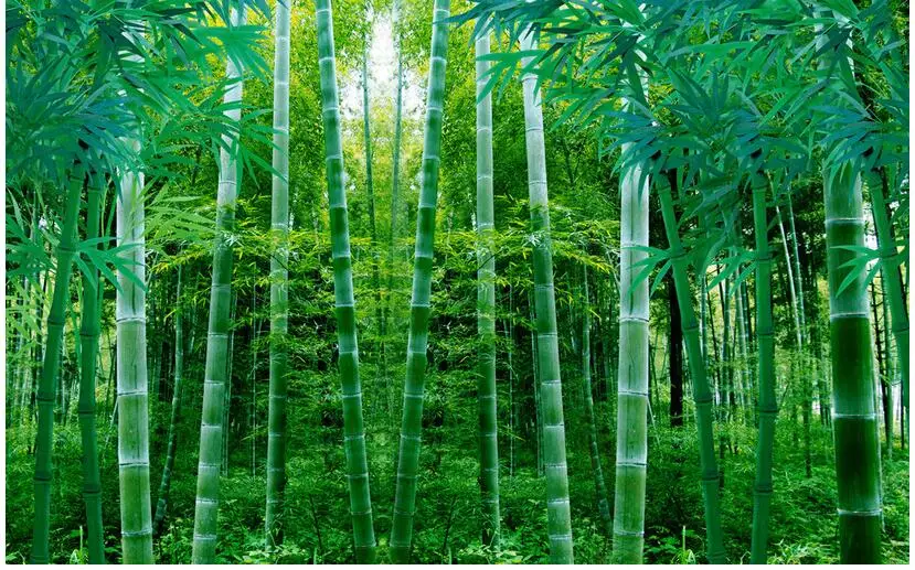 3d обои на заказ настенные нетканые фото европейские бамбуковые фоны для