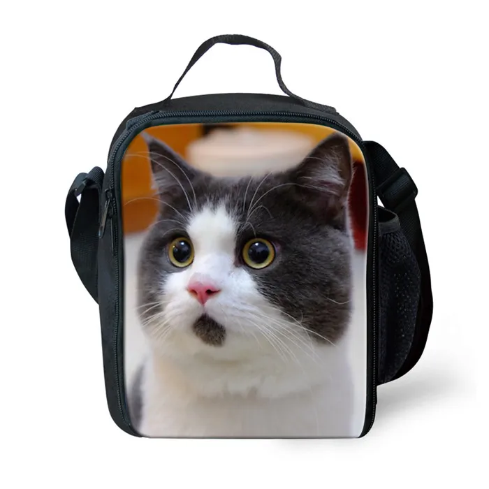 Y4480G FORUDESIGNS Mochila Escolar Kawaii удивленный Кот Печать школьные сумки для детей девочек ортопедический рюкзак Карандаш сумка 3 шт. комплект - Цвет: Y4480G