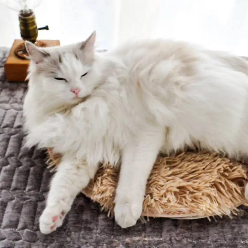 Pet USB плюшевое термостатическое электрическое одеяло не включает источник
