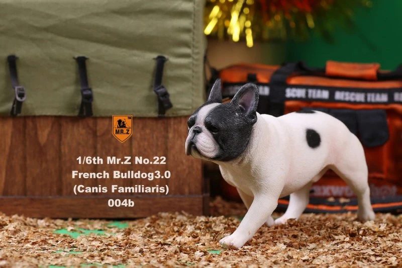 2 шт./набор 1/6 FD002 Французский бульдог 3,0 Canis ознакомление черная собака модель F коллекция 6 цветов для 1/6 фигурка
